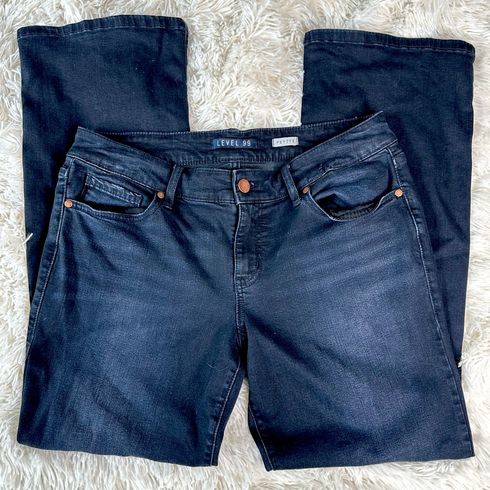 Level 99 Dark Wash Jeans Size 31P